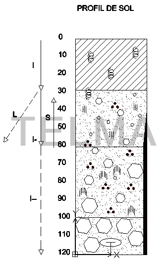 Profil de sol